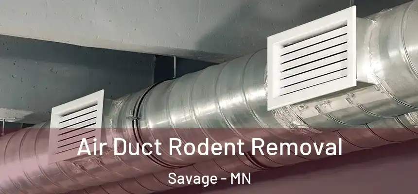  Air Duct Rodent Removal Savage - MN