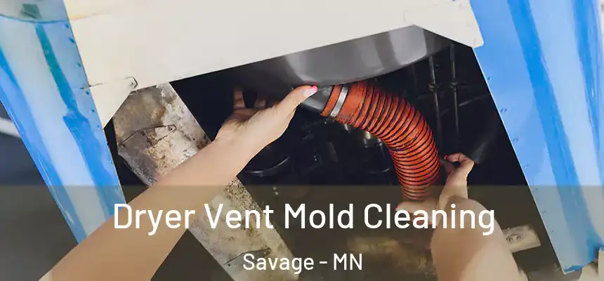  Dryer Vent Mold Cleaning Savage - MN