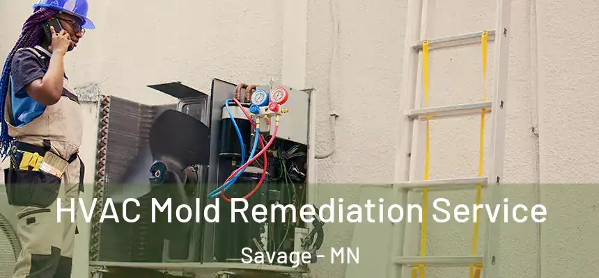 HVAC Mold Remediation Service Savage - MN