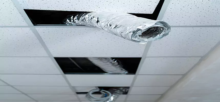 Our Air Duct Pet Hair Removal Services in Savage, MN