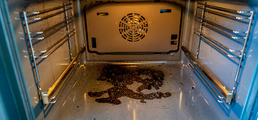 Our Dryer Vent Mold Cleaning Services in Savage, MN