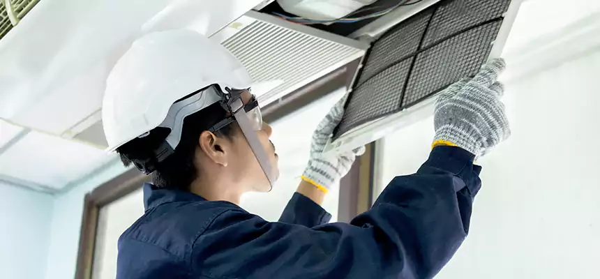 Our Mold & Mildew Removal from Air Ducts Services in Savage, MN