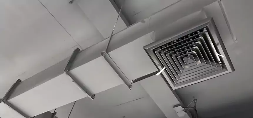 Our Rodent Droppings In Vents Services in Savage, MN