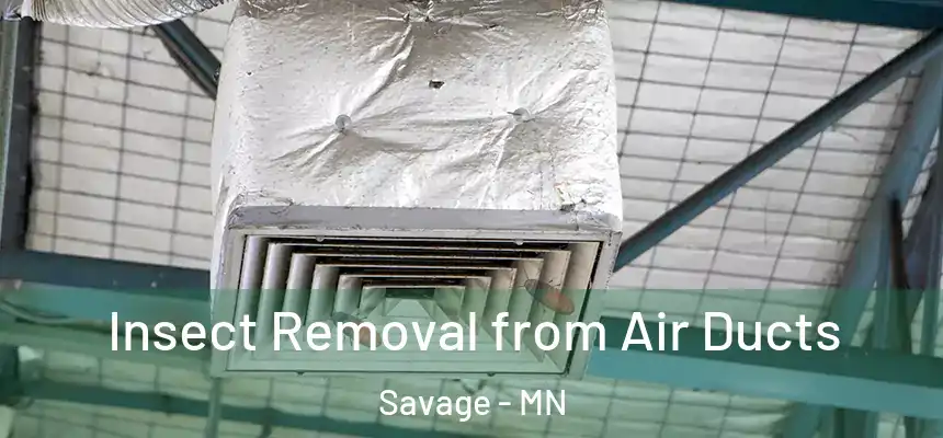 Insect Removal from Air Ducts Savage - MN