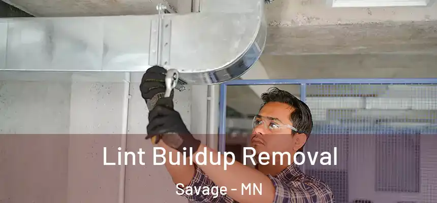  Lint Buildup Removal Savage - MN