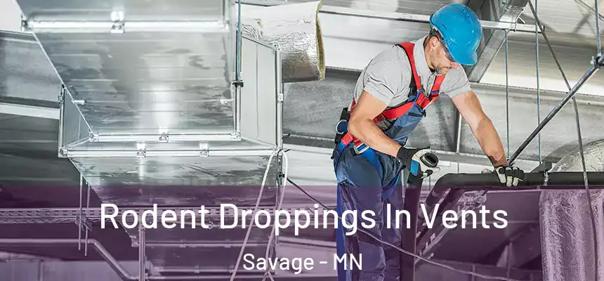  Rodent Droppings In Vents Savage - MN