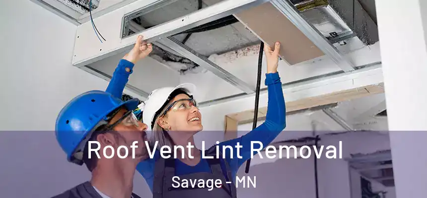 Roof Vent Lint Removal Savage - MN