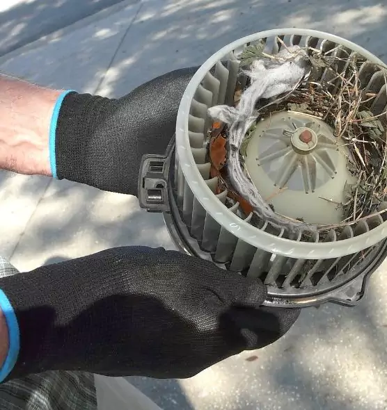 About Air Duct Rat Removal in Savage, MN