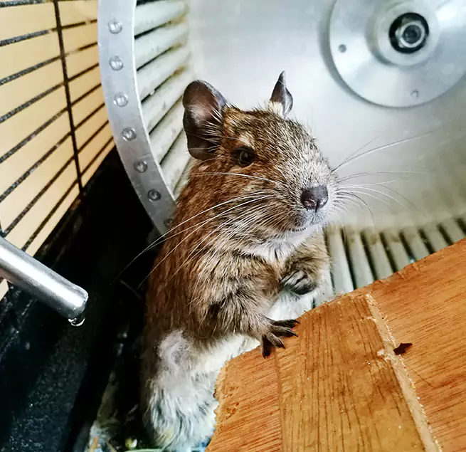 Why Homeowners & Businesses Trust Us Savage, MN