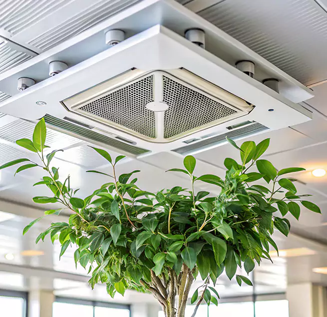 Why Homeowners & Businesses Trust Us in Savage, MN?