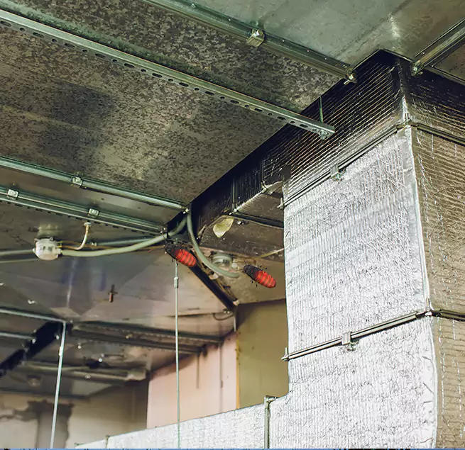 Why Homeowners & Businesses Trust Us Savage, MN?